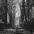 New Jewish Cemetery