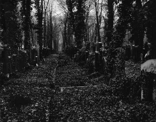 New Jewish Cemetery