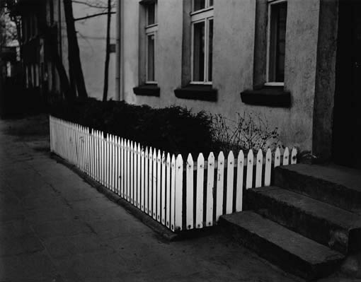 White Picket Fence