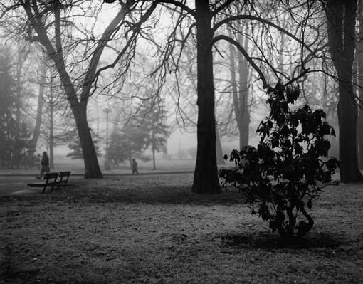 Park in Cheb