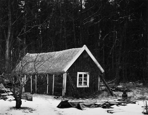 Cissi's Shed