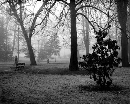 Park in Cheb